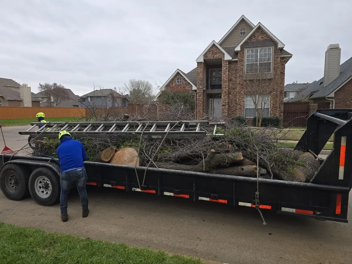 Expert Lot Clearing with proper safety equipment in Bakersfield